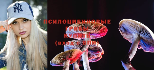 дмт Беломорск