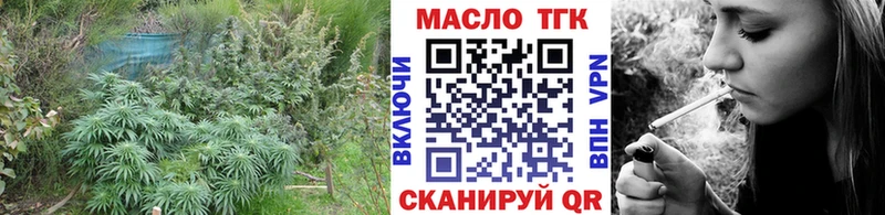 магазин продажи Нестеровская ТГК THC oil