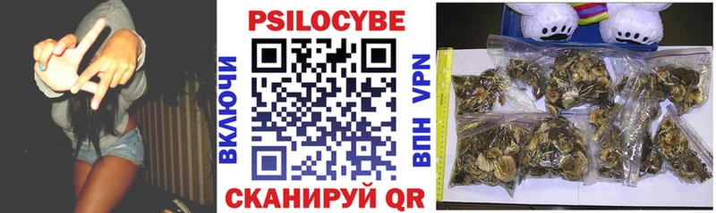 Псилоцибиновые грибы Cubensis  Нестеровская 