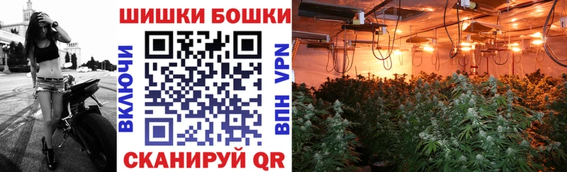 Канабис гибрид  где можно купить наркотик  Нестеровская 